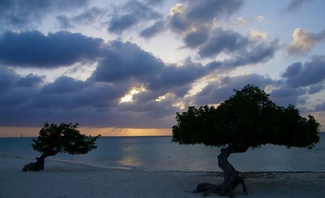 Succès éclatant des tireurs saint-luciens au Black Beard Trophy en Guadeloupe